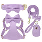 Pack 4-en-1 Harnais Nœud Papillon & accessoires pour Petit Chien