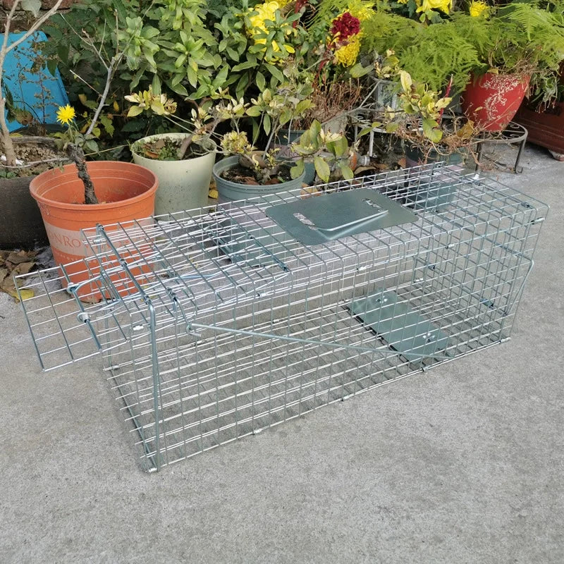 Cage de capture pliable en acier inoxydable 66 cm