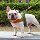 Harnais en Y Confort Anti-traction pour Chien