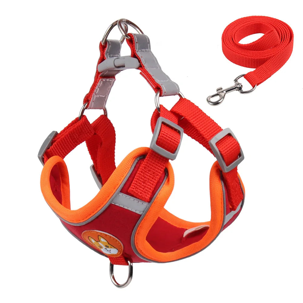 2 en 1 Harnais & Laisse Réfléchissant Anti-traction pour chien