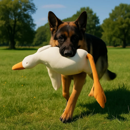 Grande Peluche Canard Blanc Réaliste pour Chiens