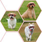 Lunettes de Soleil Courbées pour Chiens de Petite et Moyenne Taille