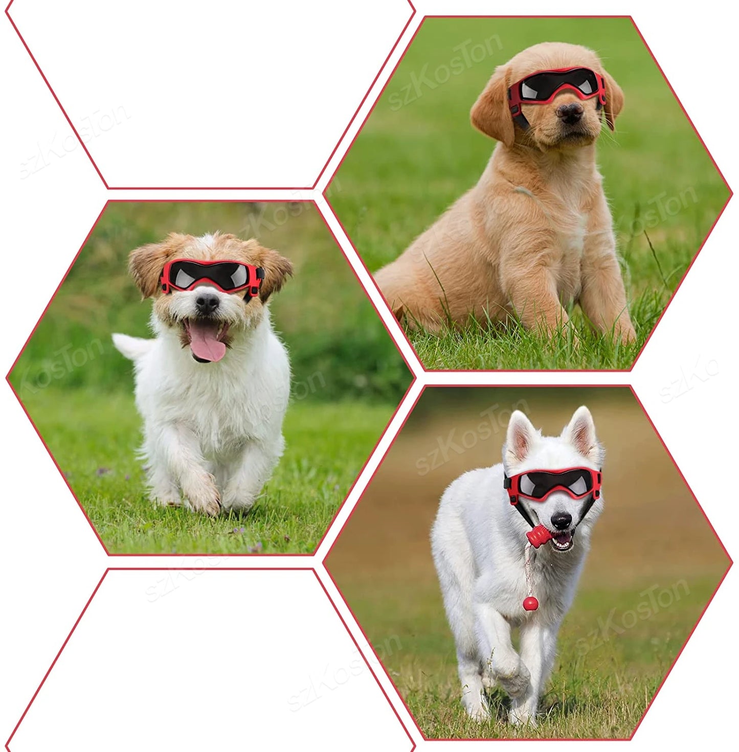 Lunettes de Soleil Courbées pour Chiens de Petite et Moyenne Taille
