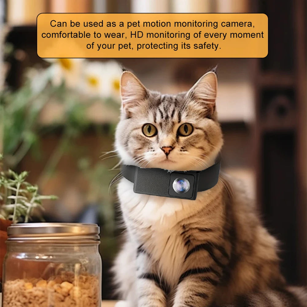 Collier Caméra 1080P HD 160° pour Chats