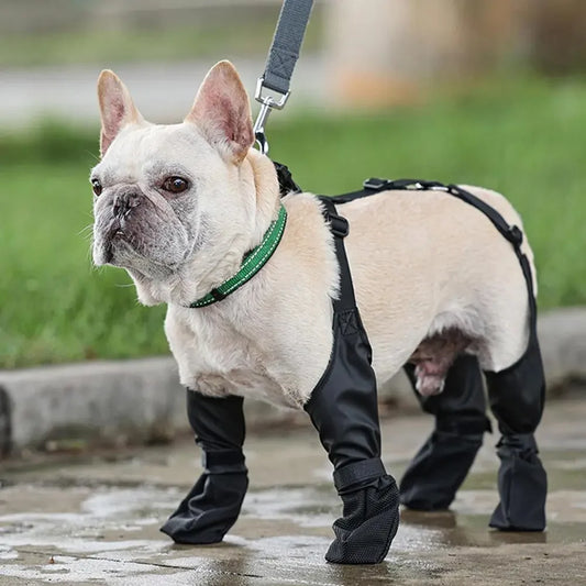 Chaussures Antidérapantes Réglables pour Chiens