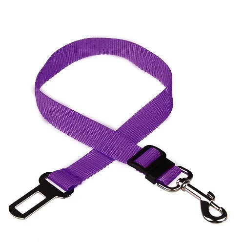 Ceinture de Sécurité Voiture pour Chien