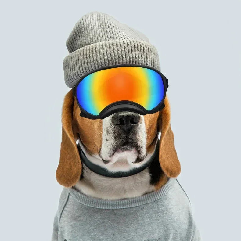 Lunettes de Ski Panoramiques pour Chiens Moyens et Grands