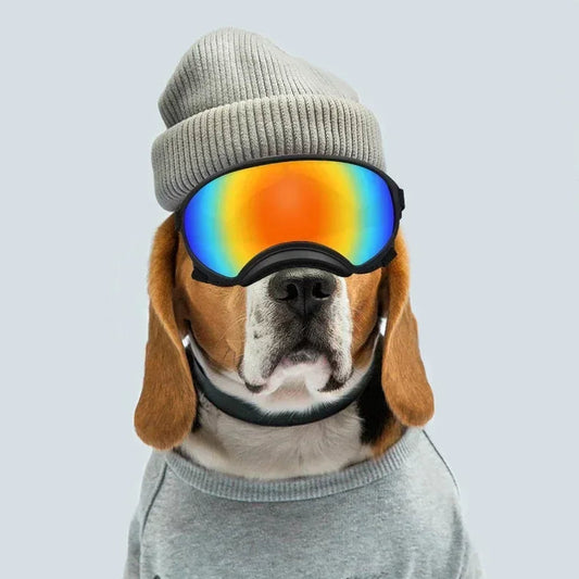 Lunettes de Ski Panoramiques pour Chiens Moyens et Grands