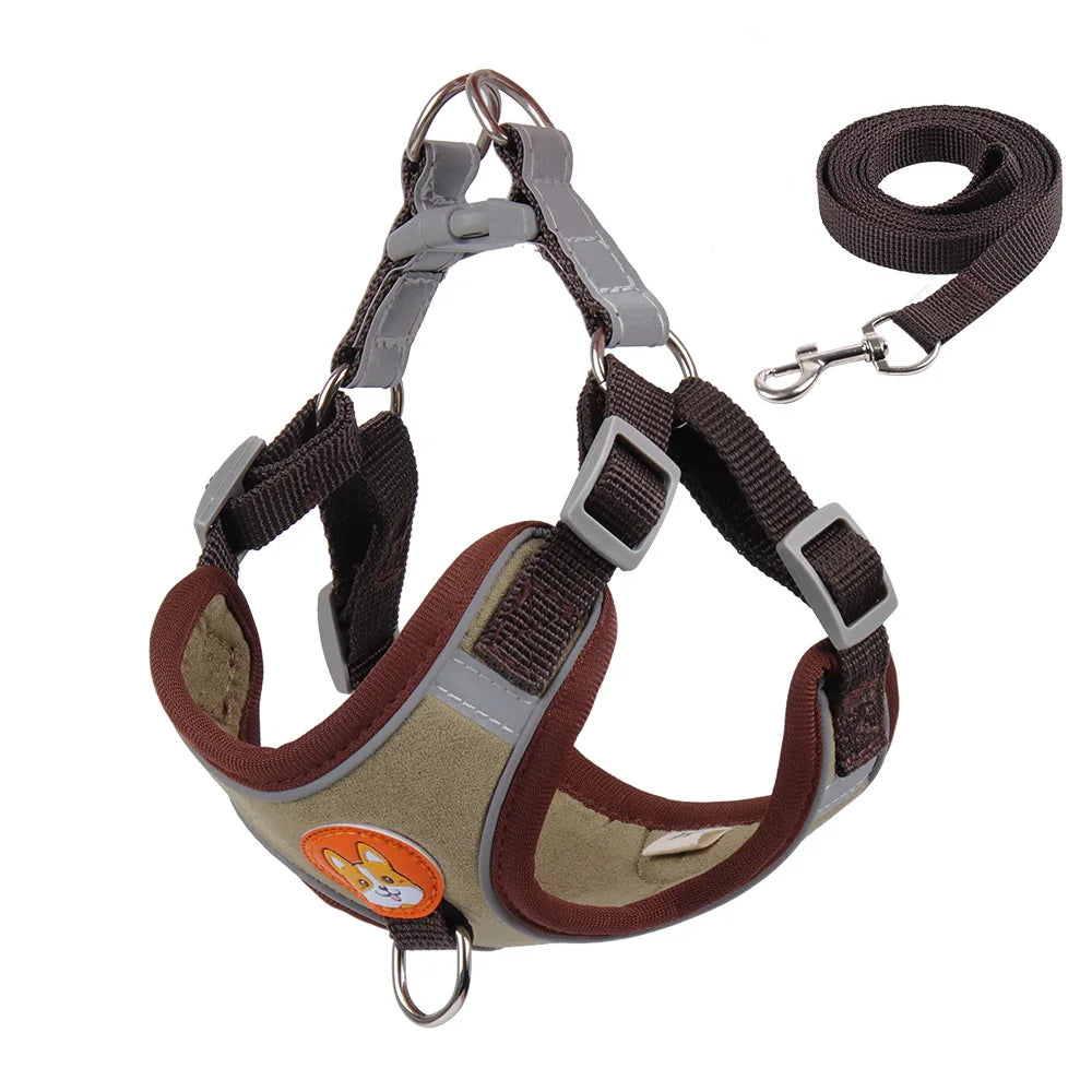 2 en 1 Harnais & Laisse Réfléchissant Anti-traction pour chien