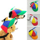 Casquette Hélice Colorée pour Chien et Chat