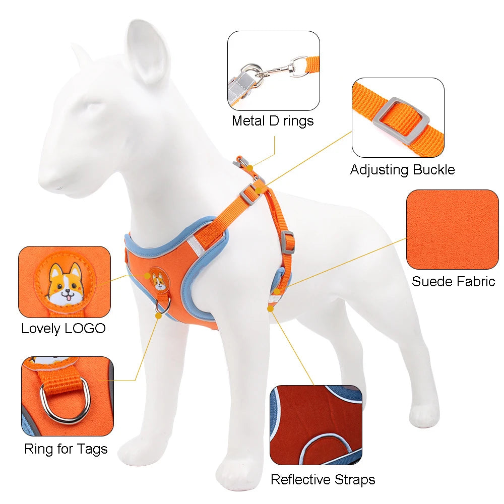 2 en 1 Harnais & Laisse Réfléchissant Anti-traction pour chien