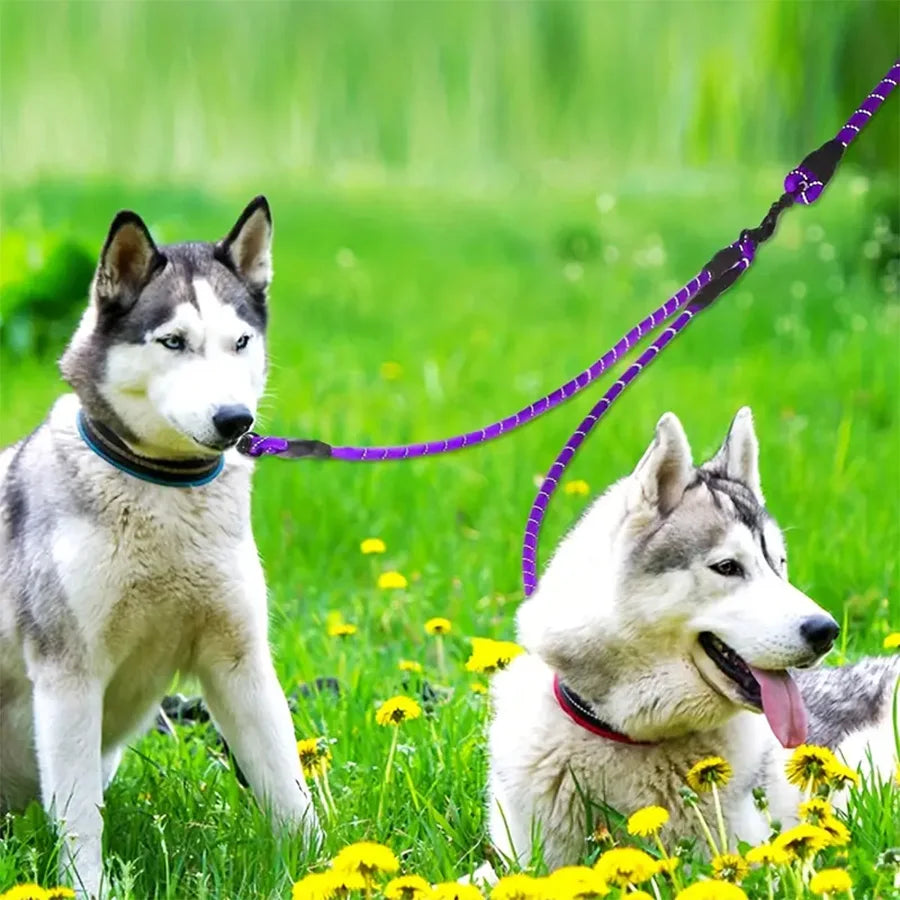 Rallonge Double Anti-Nœud pour Laisse Chien