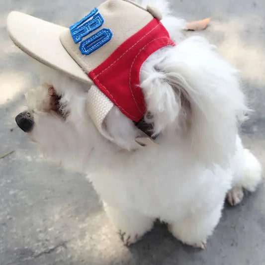 Casquette Sportive en Toile pour Petits Chiens avec Broderie