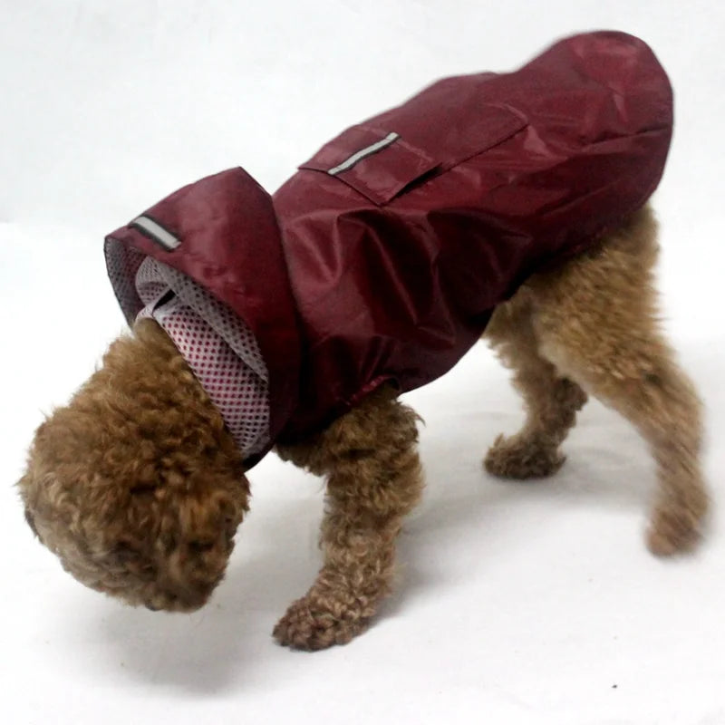 Poncho Imperméable Réfléchissant pour Chien toutes Tailles