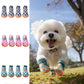 Chaussures Antidérapantes Respirantes pour Chiens – Lot de 4