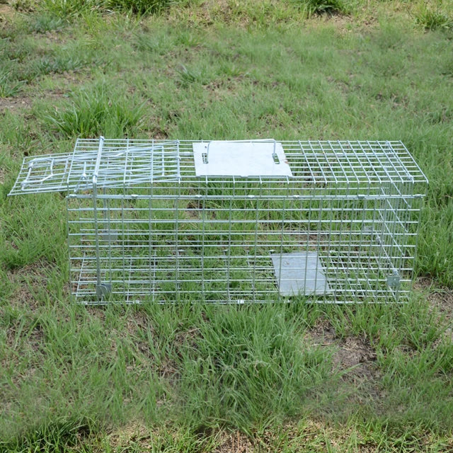 Cage de capture pliable en métal galvanisé pour animaux