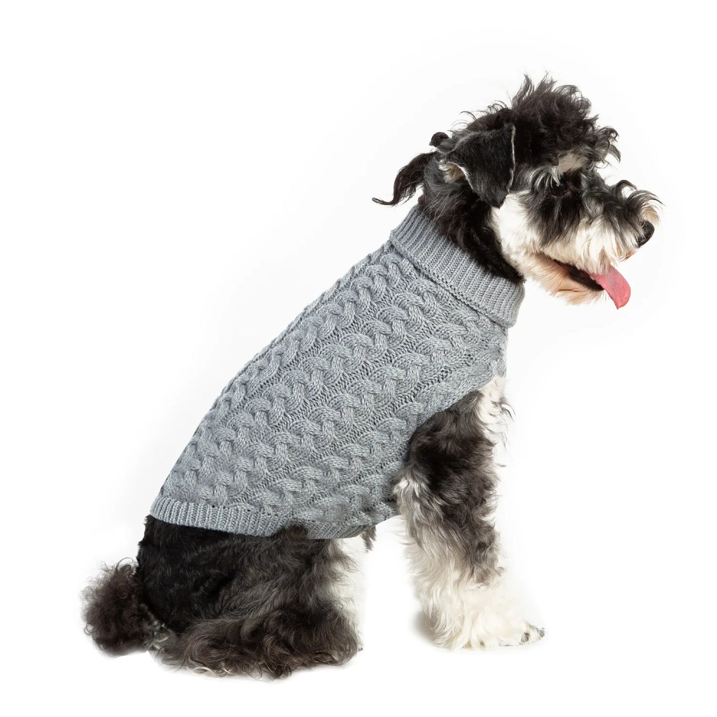 Pull d’Hiver Torsadé pour Petit Chien