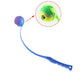 Lanceur de Balle de Tennis pour Chiens