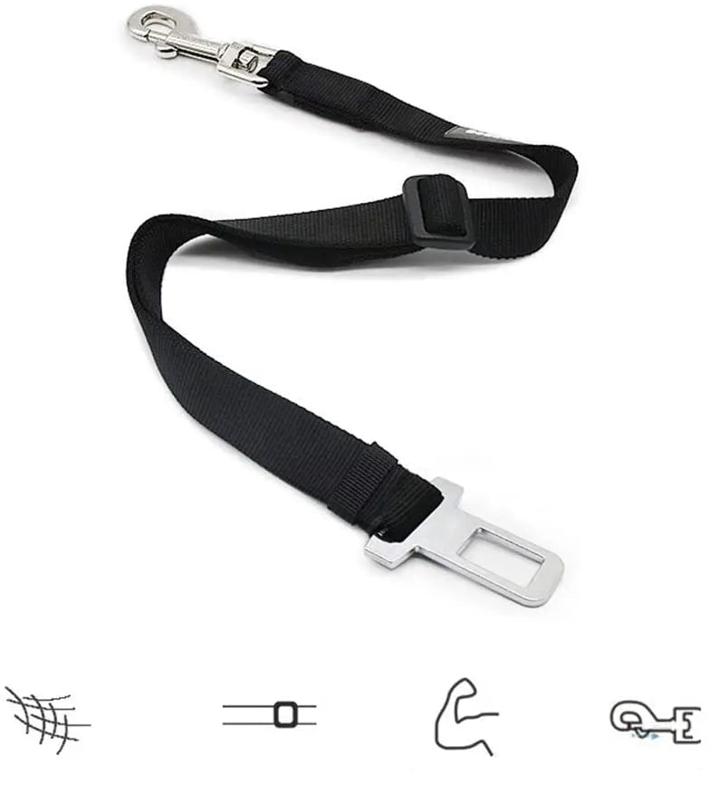 Ceinture de Sécurité Voiture pour Chien