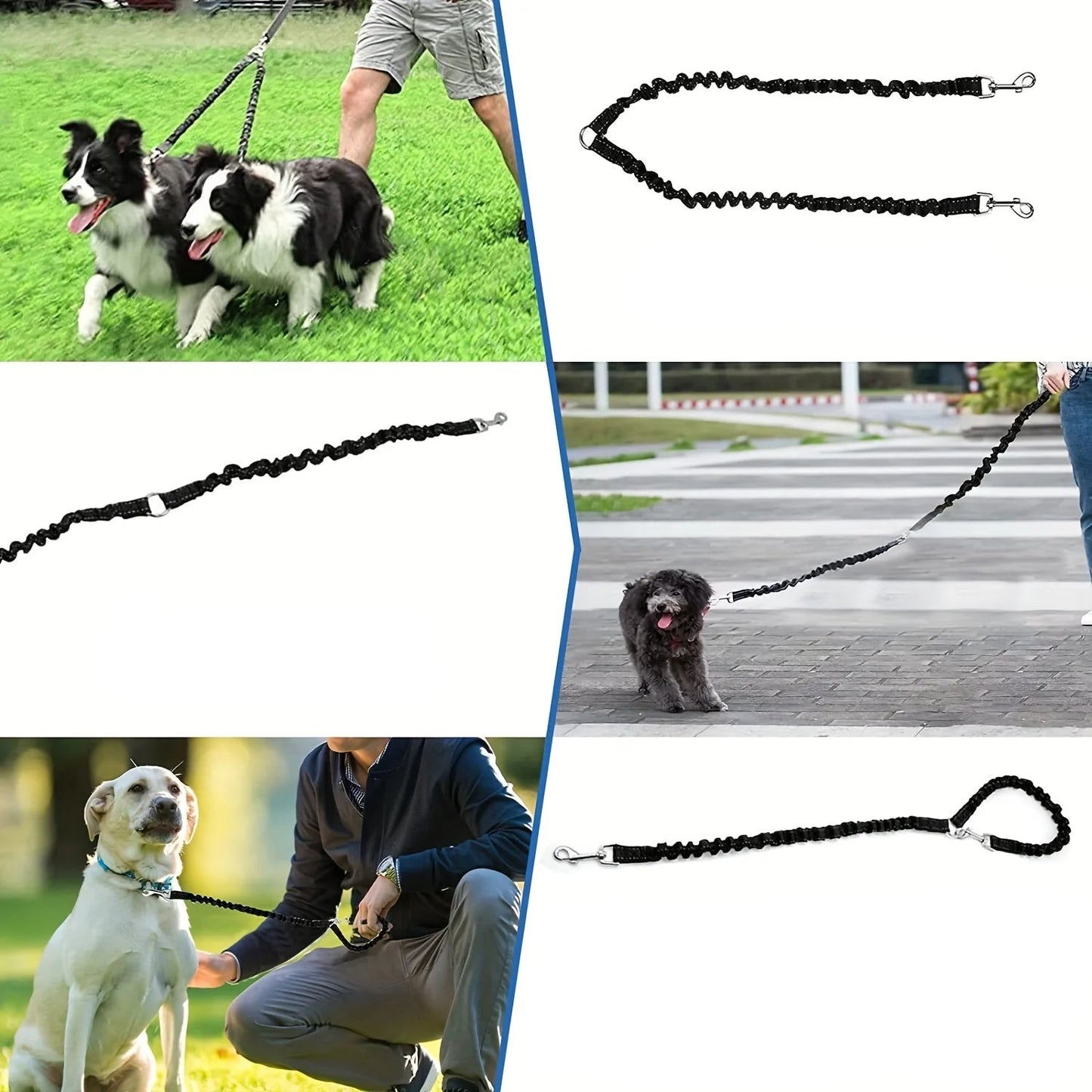 2 en 1 Laisse ou Double Rallonge Élastique Anti-Torsion pour Chien
