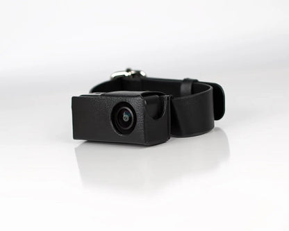 Collier Caméra 1080P HD 160° pour Chats
