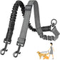 Rallonge Double Réglable & Élastique ColorDuo pour Laisse Chien