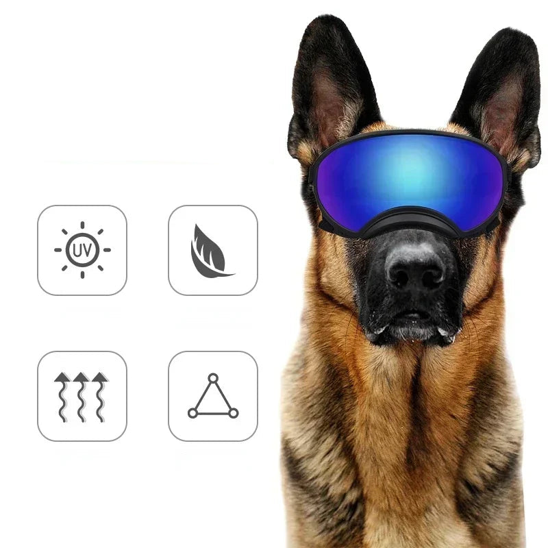 Lunettes de Ski Panoramiques pour Chiens Moyens et Grands