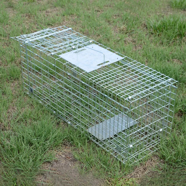 Cage de capture pliable en métal galvanisé pour animaux