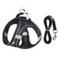 2 en 1 Harnais Réfléchissant + Laisse assortie pour Petit Chien