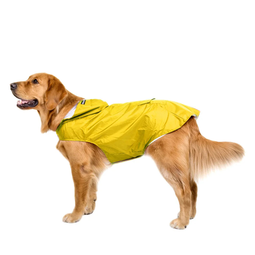Poncho Imperméable Réfléchissant pour Chien toutes Tailles