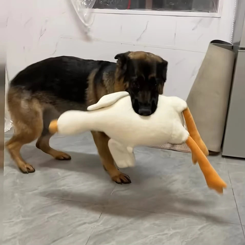 Grande Peluche Canard Blanc Réaliste pour Chiens