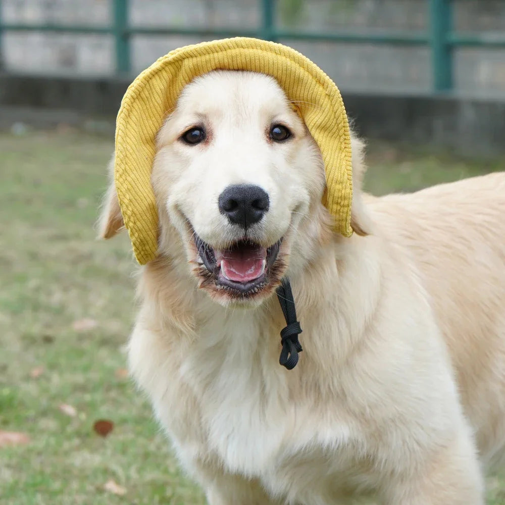 Chapeau Soleil en Velours Côtelé pour Chien avec Trous pour Oreilles