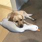 Grande Peluche Canard Blanc Réaliste pour Chiens