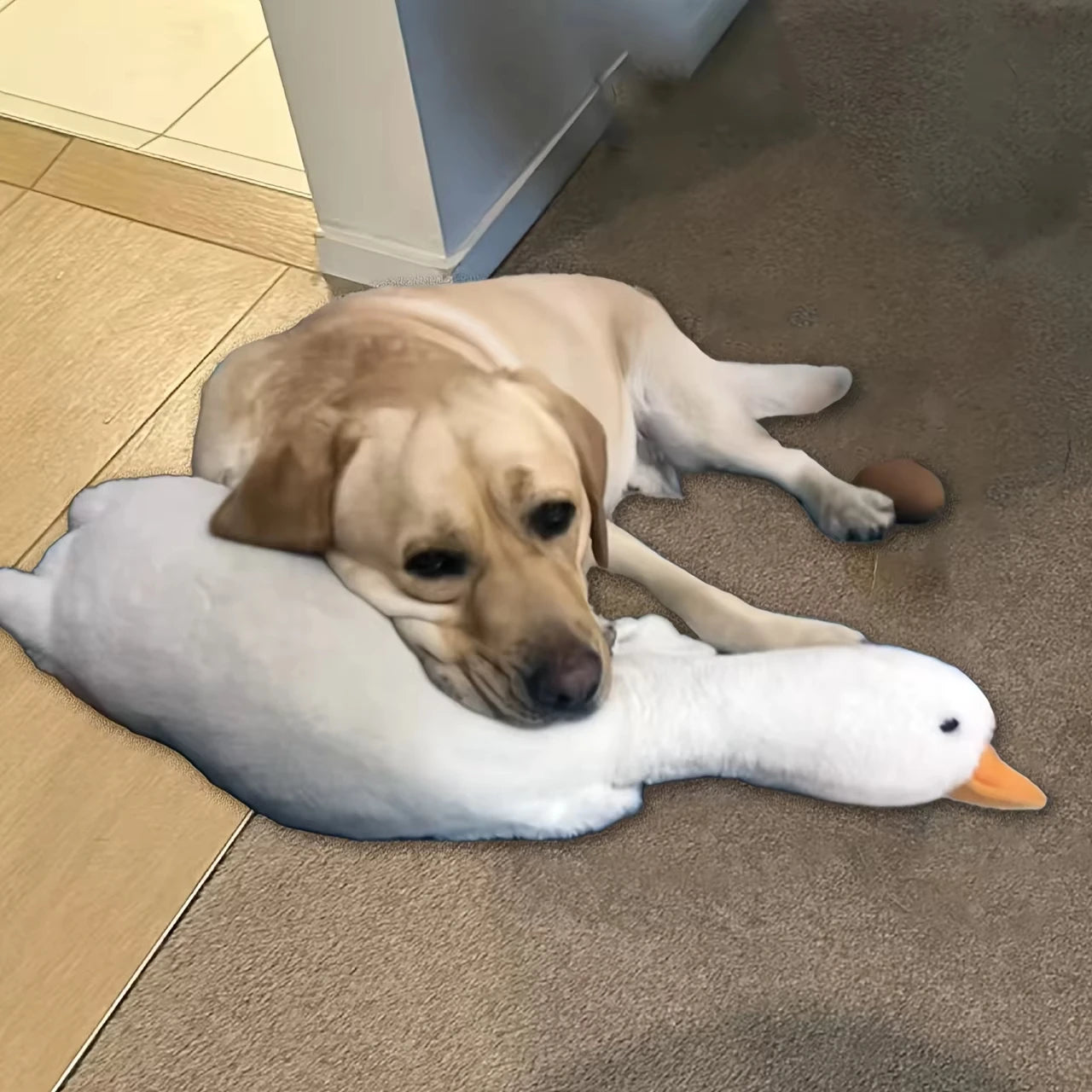 Grande Peluche Canard Blanc Réaliste pour Chiens