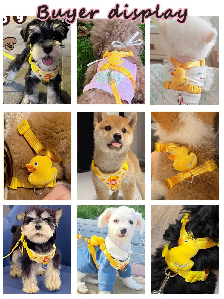 Harnais et Laisse Antifuite Motif Canard ou Éléphant pour Chats et Petits Chiens