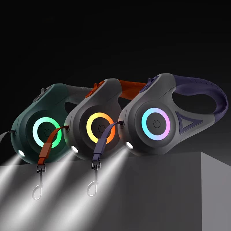 Laisse LED Enrouleur pour Chien