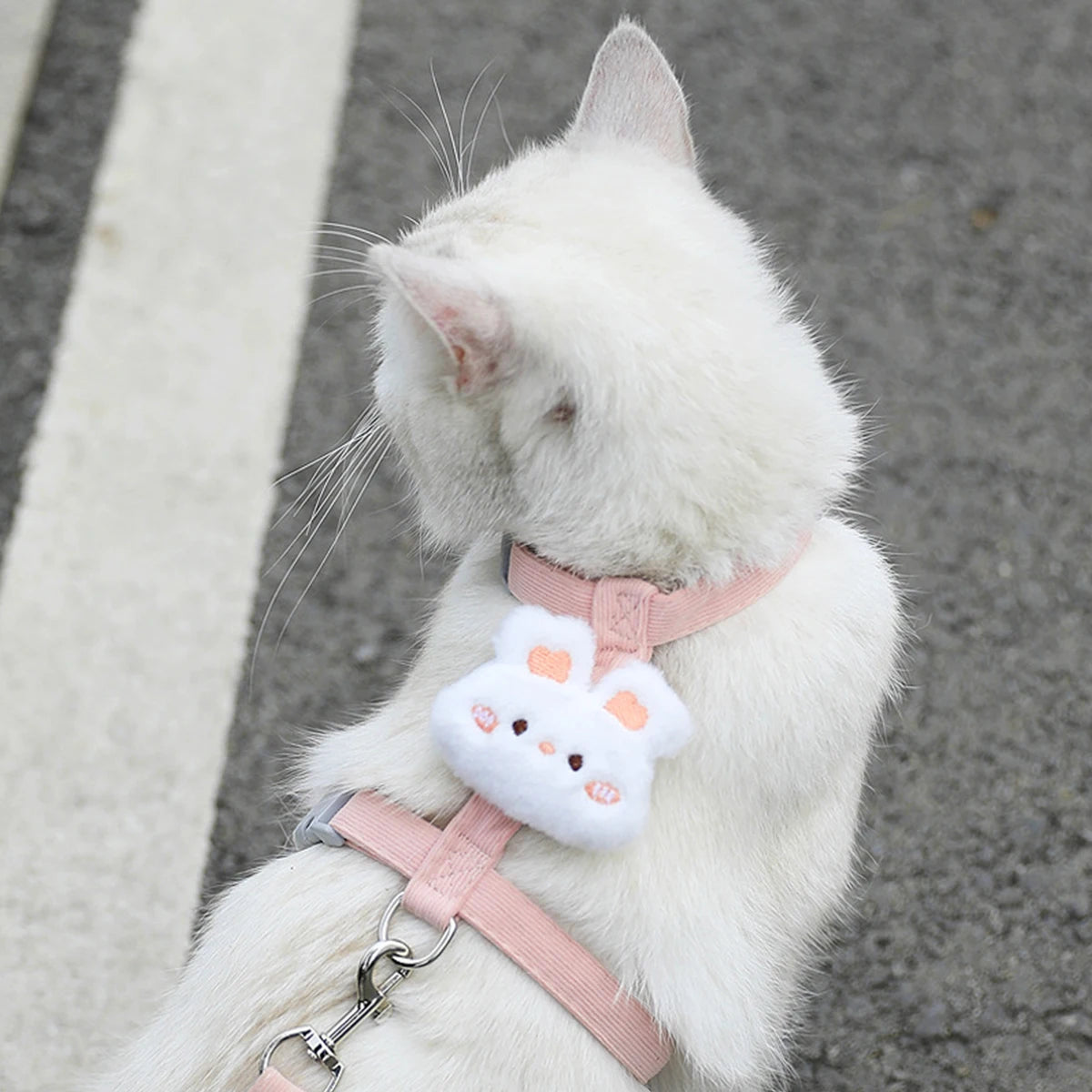 Harnais et Laisse Ajustables pour Chat avec Fleur Décorative
