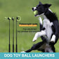 Lance-Balle Télescopique Interactif pour Chiens