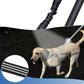 2 en 1 Laisse ou Double Rallonge Élastique Anti-Torsion pour Chien