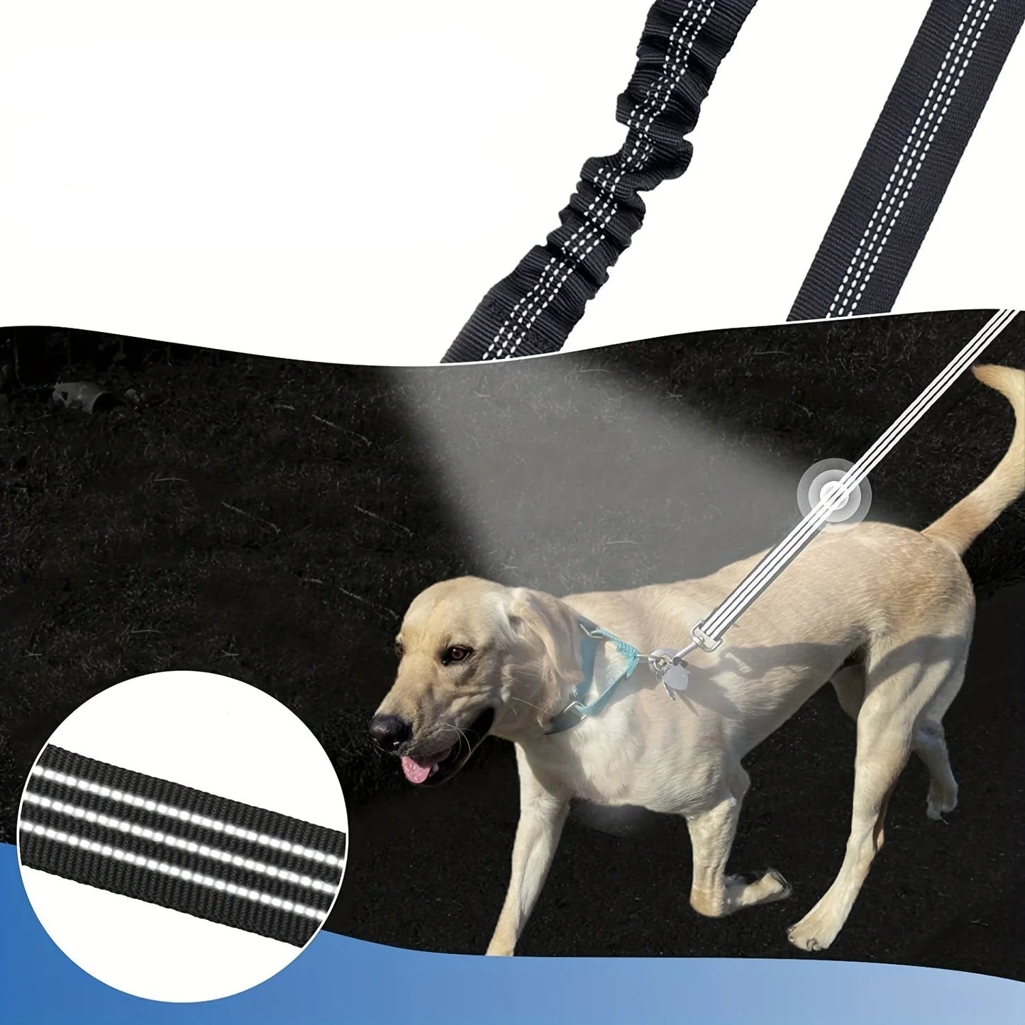 2 en 1 Laisse ou Double Rallonge Élastique Anti-Torsion pour Chien