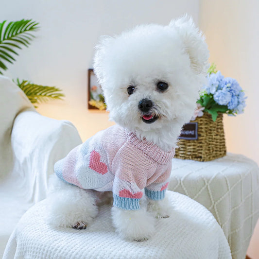 Pull Jacquard Rose et Bleu à Cœurs pour Petit Chien
