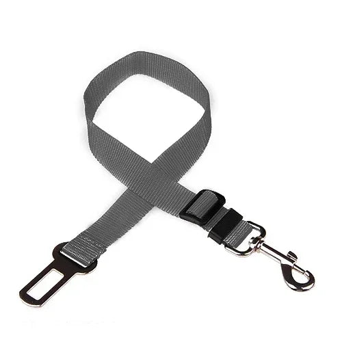 Ceinture de Sécurité Voiture pour Chien