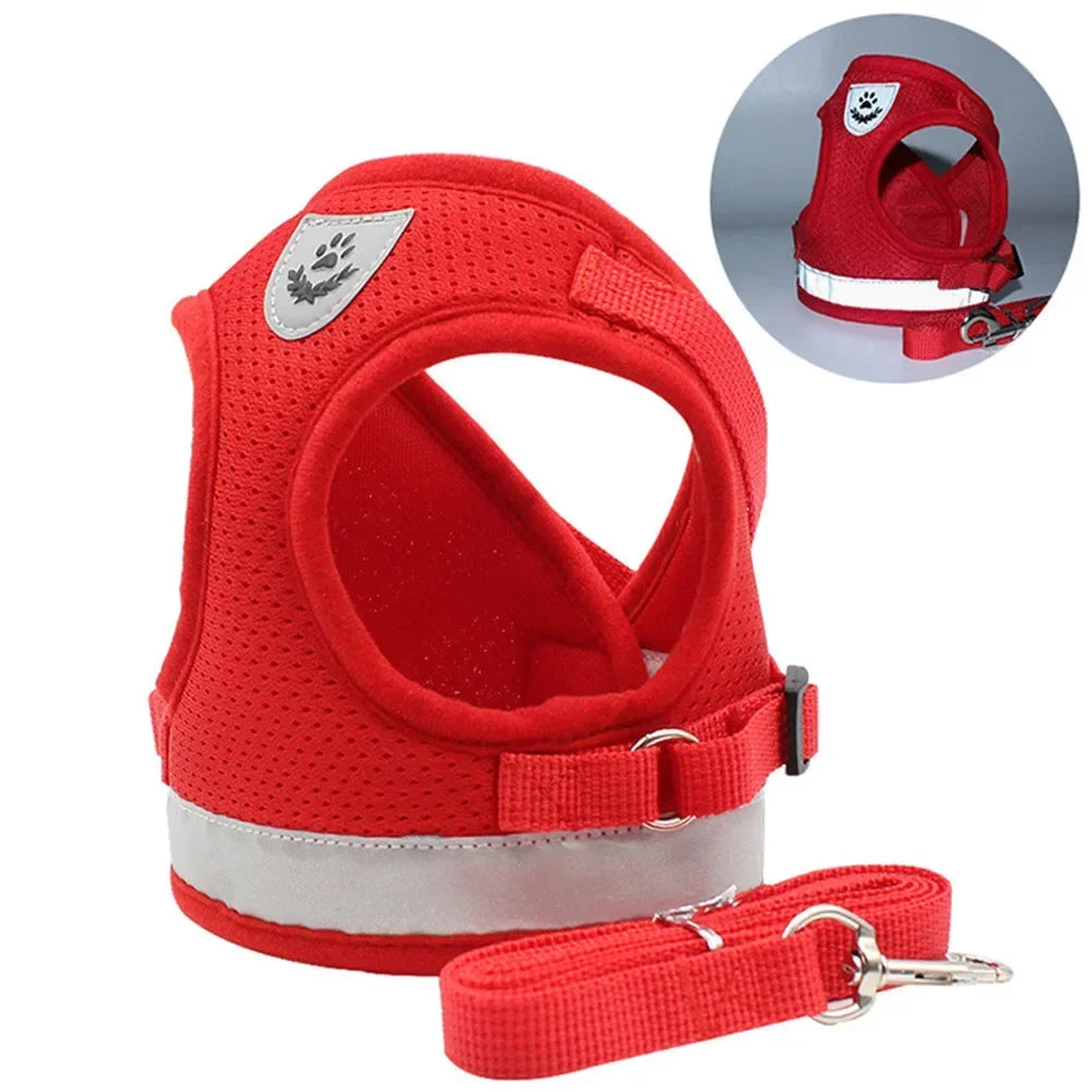 Harnais Réglable en Maille Respirante avec Laisse pour Chats et Petits Chiens