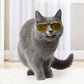 Lunettes Aviateur Colorées pour Chats