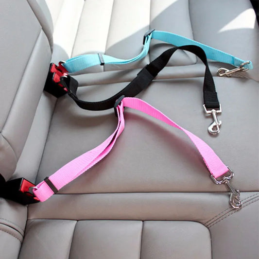 Ceinture de Sécurité Voiture pour Chien