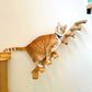 Escaliers Muraux pour Chats en Bois avec Corde en Jute