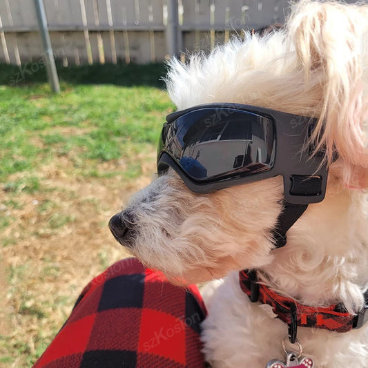 Lunettes de Soleil Courbées pour Chiens de Petite et Moyenne Taille