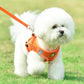 2 en 1 Laisse & Harnais Respirant pour Petit Chien