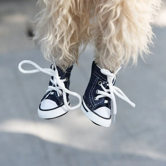 Chaussures All Star Été Antidérapantes pour Chiens