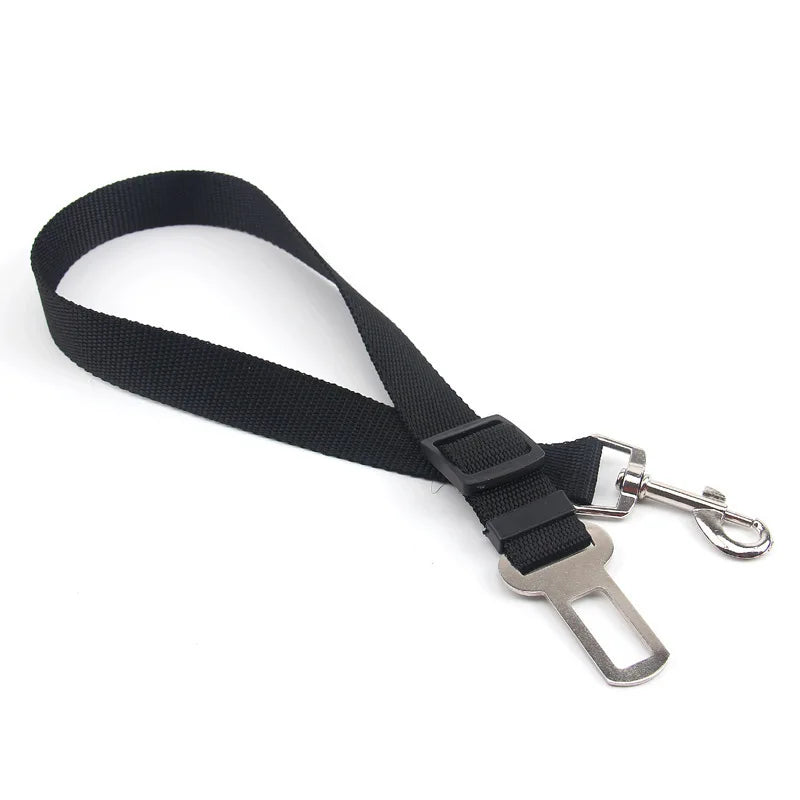 Ceinture de Sécurité Élastique Voiture pour Chien